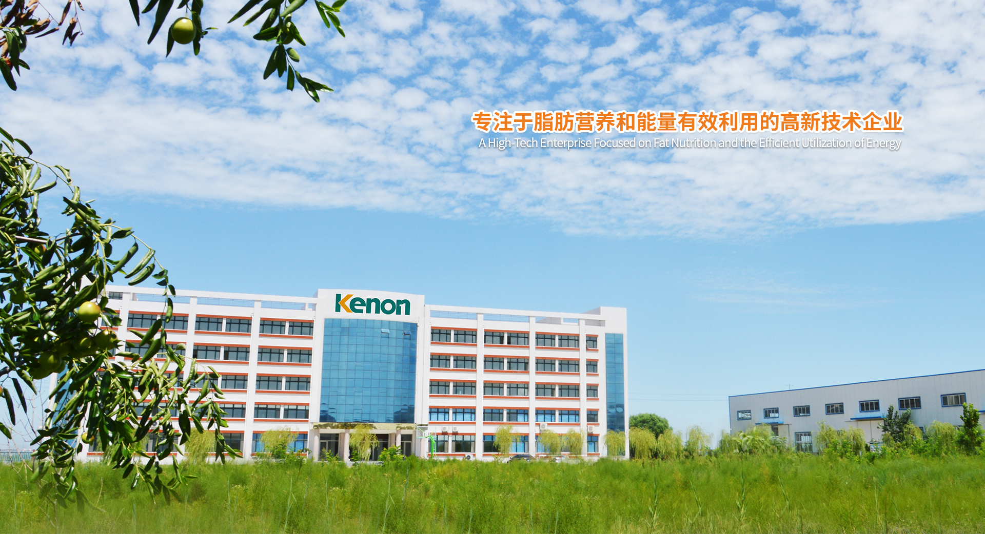 適用于輸送易于掏取的粉狀、粒狀、小塊狀的低磨琢性物料及袋裝物料
